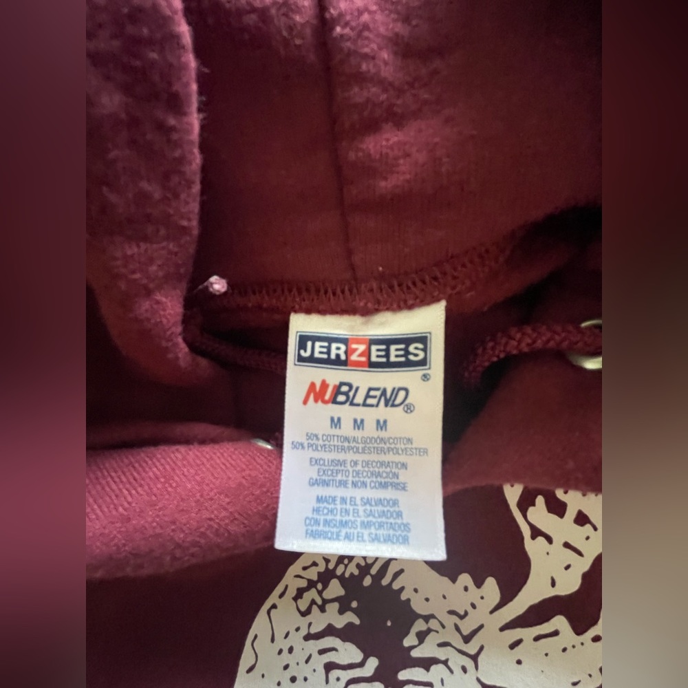 Schrute Farm’s‎ hoodie from The Office. Men size Medium - Picture 4 of 5